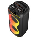 Zore GD-2608 Dijital LED Göstergeli FM Radyolu Mikrofonlu RGB TWS Çift 6.5 inç Stereo Bass Kablosuz Karaoke Hoparlör - 6