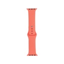Apple Watch 44mm Uyumlu Band Serisi Klasik Kordon Silikon Strap Kayış